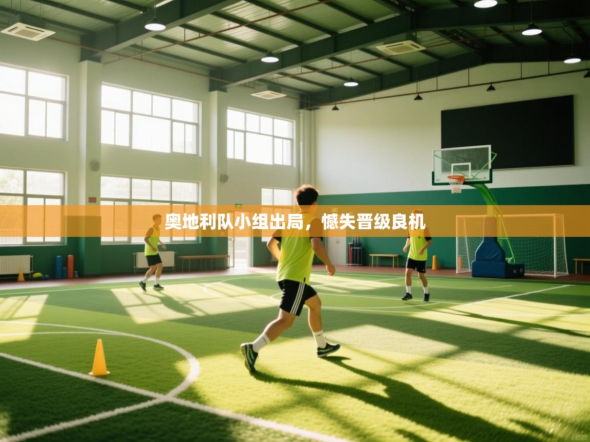 奥地利队小组出局，憾失晋级良机  第2张